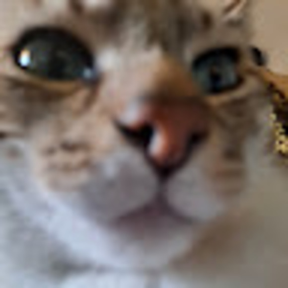 baelijae